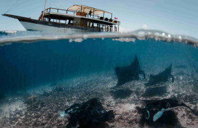 Manta Rhei Duikcentrum