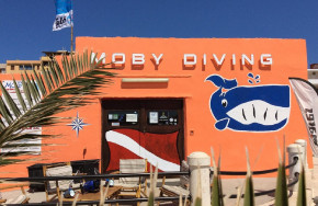 Moby Diving