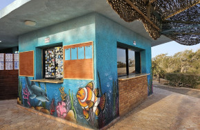 Infinity Diving Safari Mangrove Bay