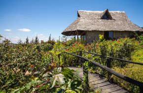 Rhino Watch Lodge