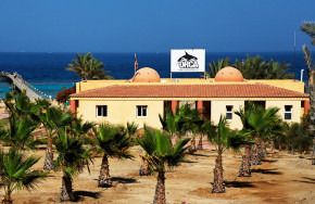 Orca Dive Club Wadi Lahmy Azur